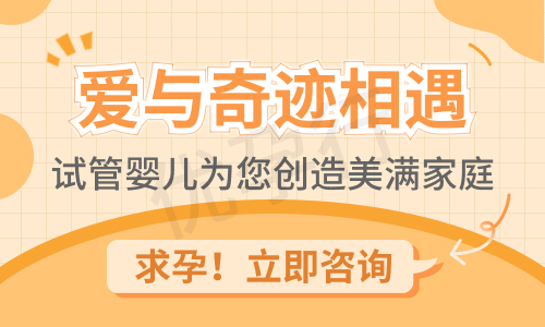 泰国试管婴儿费用 泰国试管婴儿费用