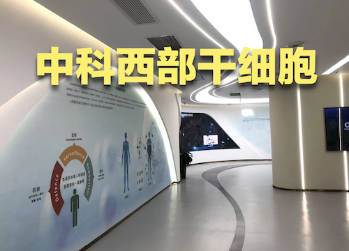 截屏2023-10-18 15.07.05.png