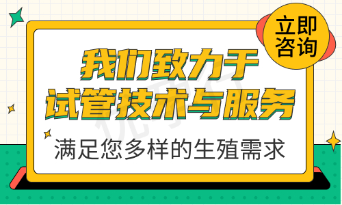 泰国三代试管婴儿医院名单费用全攻略!泰国试管婴儿成功率高吗? 泰国三代试管婴儿医院名单费用全攻略!泰国试管婴儿成功率高吗?