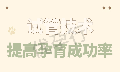 深圳单身试管婴儿必看攻略?从前期准备到费用预算!