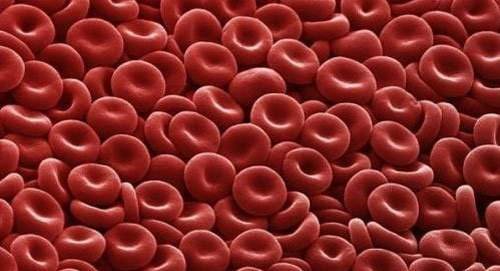 红细胞增多症
