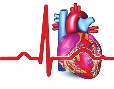 心脏射频消融术