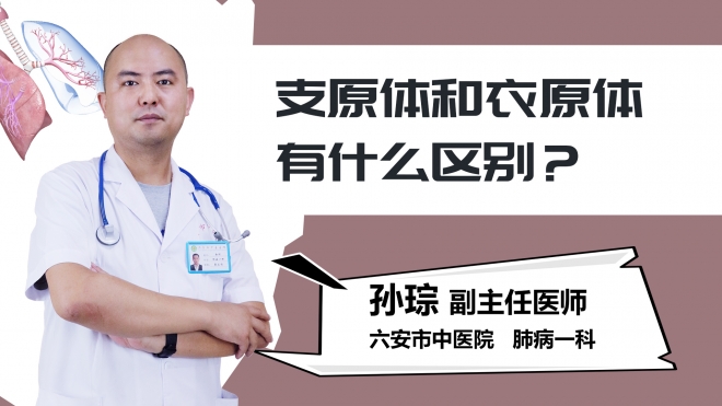支原体和衣原体有什么区别？