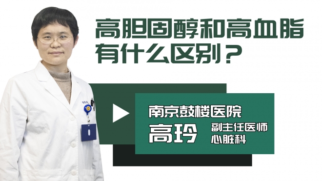 高胆固醇和高血脂有什么区别?