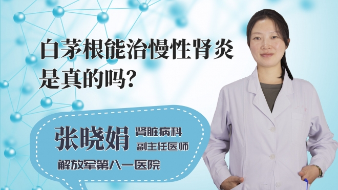白茅根能治慢性肾炎是真的吗?